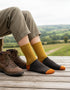 Tricolor 100% Merino Wool Socks | Yellow