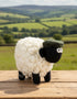 Erin Knitwear Knitted Sheep | Green Flat Cap - Large