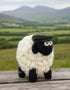 Erin Knitwear Knitted Sheep | Green Flat Cap - Medium