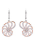 Nautilus Shell Lever Back Earrings