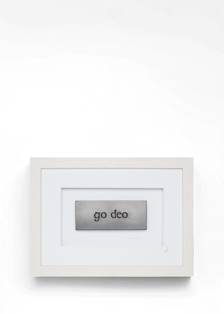 Wild Goose Go Deo Forever | Wall Art