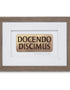 Docendo discimus – By teaching we learn