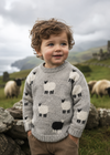 Children's Black Sheep Aran Sweater | 100% Pure Wool