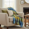 Beige armchair with a colorful plaid blanket draped over it in a cozy living room setting.