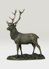 Genesis The Stag