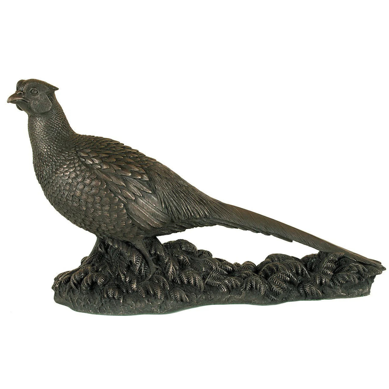 Genesis The Pheasant
