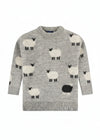 Children's Black Sheep Aran Sweater | 100% Pure Wool