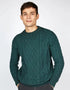 IrelandsEye Fearnóg Aran Sweater - Green